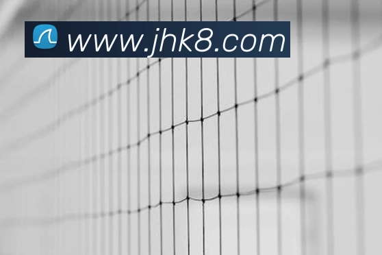 凯发K8服务体系